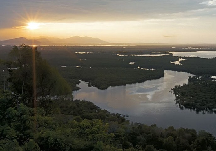 Hutan Tropis Kalimantan Memiliki Keragaman Hayati yang Besar. Setujukah Kamu? Berikan Pendapatmu!