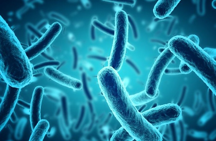Seorang peneliti bidang mikrobiologi di sebuah lembaga penelitian sedang mengamati pertumbuhan 50 bakteri di laboratorium mikrobiologi