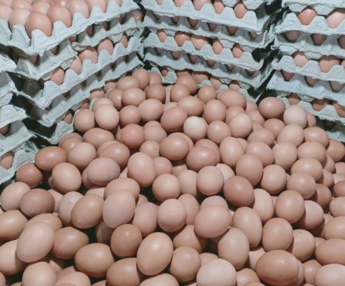 Berapa jumlah telur yang diterima Ibu Irma? Siapakah yang menyumbang telur terbanyak?