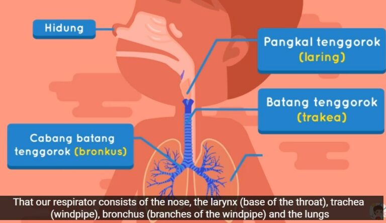 Menurutmu apa yang menyebabkan seseorang cegukan dan bagaimana cara mengatasinya?