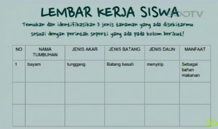 Temukan dan identifikasikan 3 jenis tanaman yang ada di sekitarmu sesuai dengan perintah seperti yang ada pada kolom berikut!