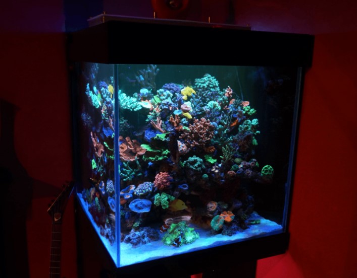 Sebuah akuarium berbentuk kubus dengan rusuk 35 cm. Berapakah volume maksimal air yang dapat ditampung dalam akuarium tersebut?
