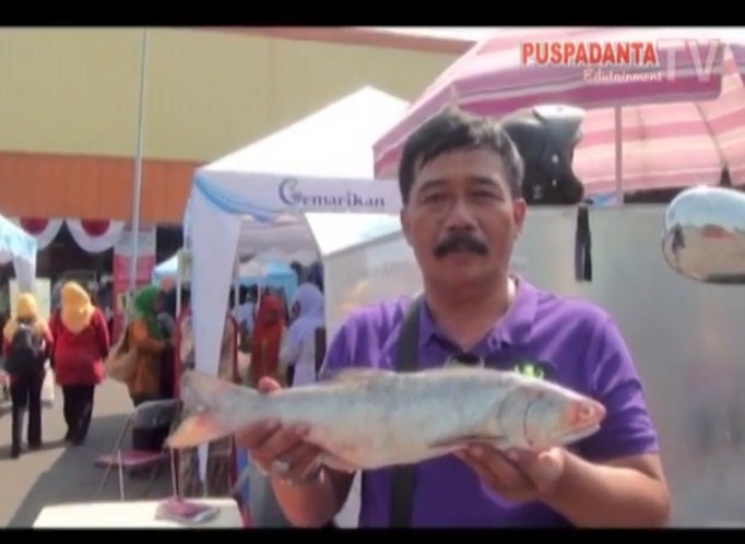 Tuliskan isi dari video Gerakan Memasyarakatkan Makan Ikan tersebut!