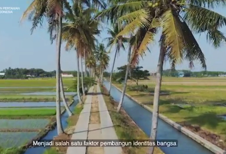 Mengapa kita perlu membangun sektor pertanian Indonesia menjadi lebih maju?