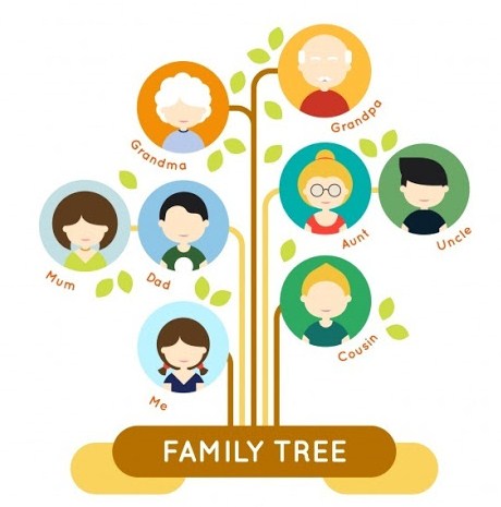 Contoh Pohon Keluarga