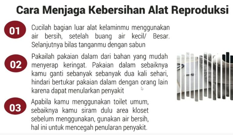 Jelaskan pentingnya menjaga kebersihan alat reproduksi!