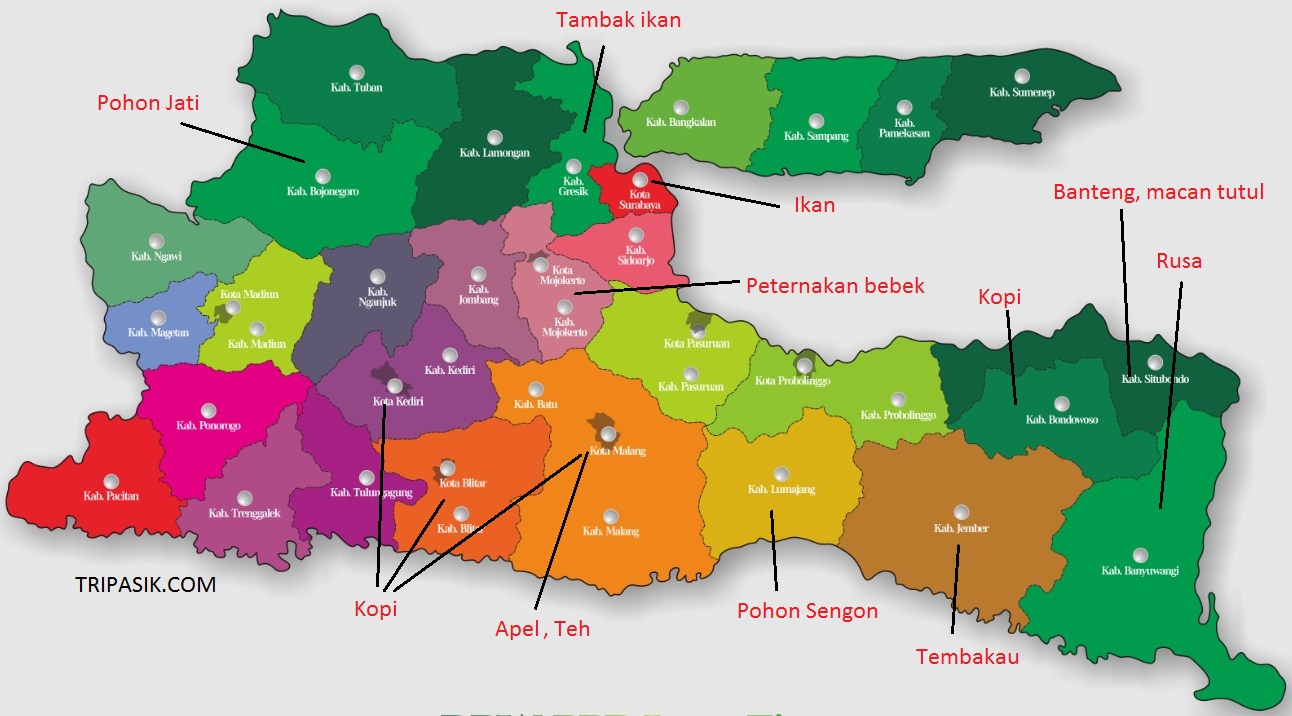 Peta Persebaran Hewan dan Tumbuhan di Jawa Timur
