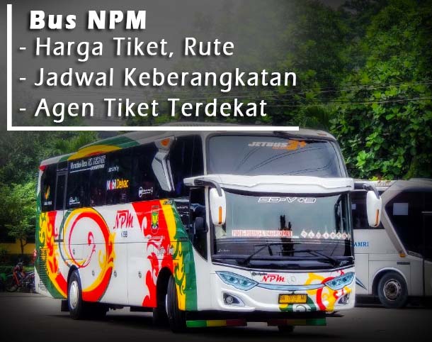 Tiket Bus NPM