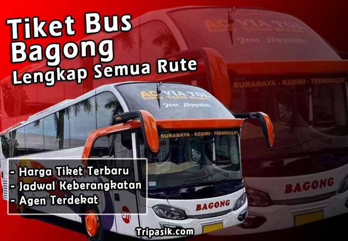 Bus Bagong : Agen