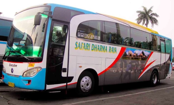 Tiket Bus Safari Dharma Raya 