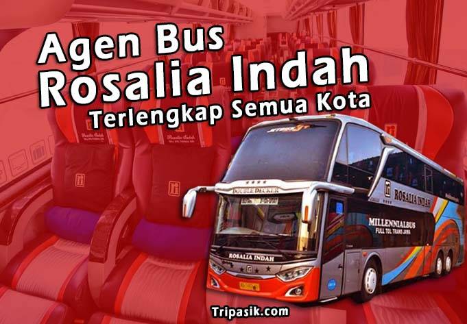 Agen Bus Rosalia Indah