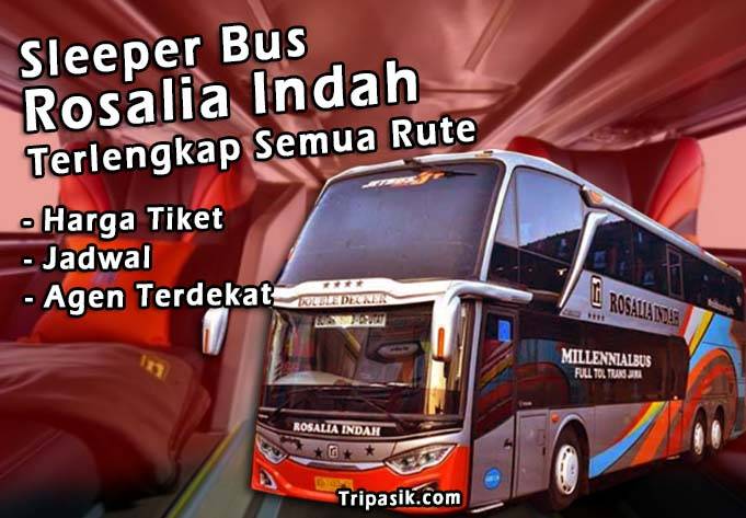 Sleeper Bus Rosalia Indah