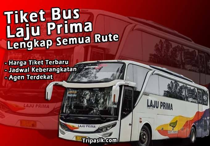Tiket Bus Laju Prima