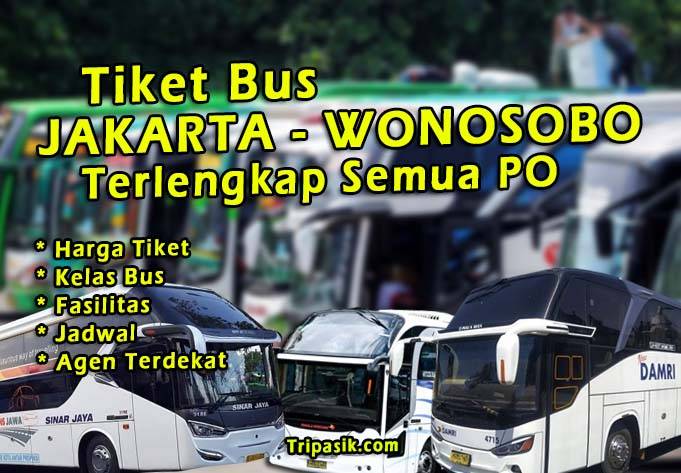 Bus Jakarta Wonosobo