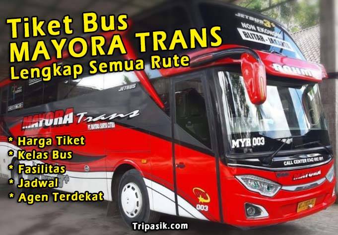 Bus Mayora Trans