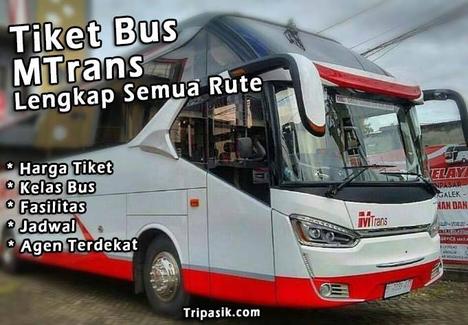 Bus MTrans