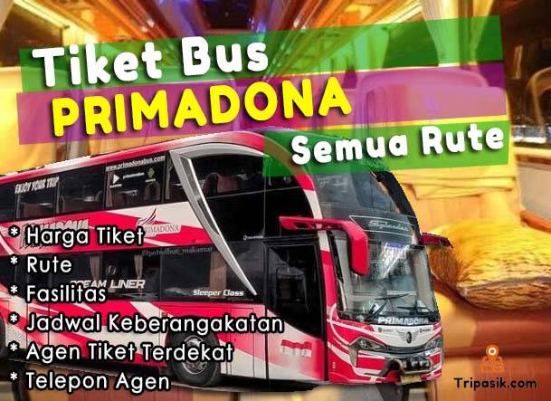 Tiket Bus Primadona