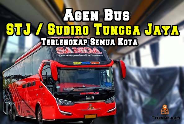 Agen Bus STJ
