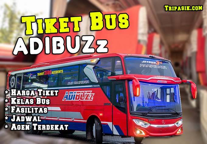 Bus Adibuzz