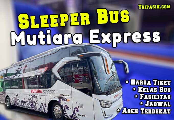 Sleeper Bus Mutiara Express